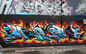 Multicolor Graffiti Spray Paint Fast Drying Time Medium Viscosity 400ml